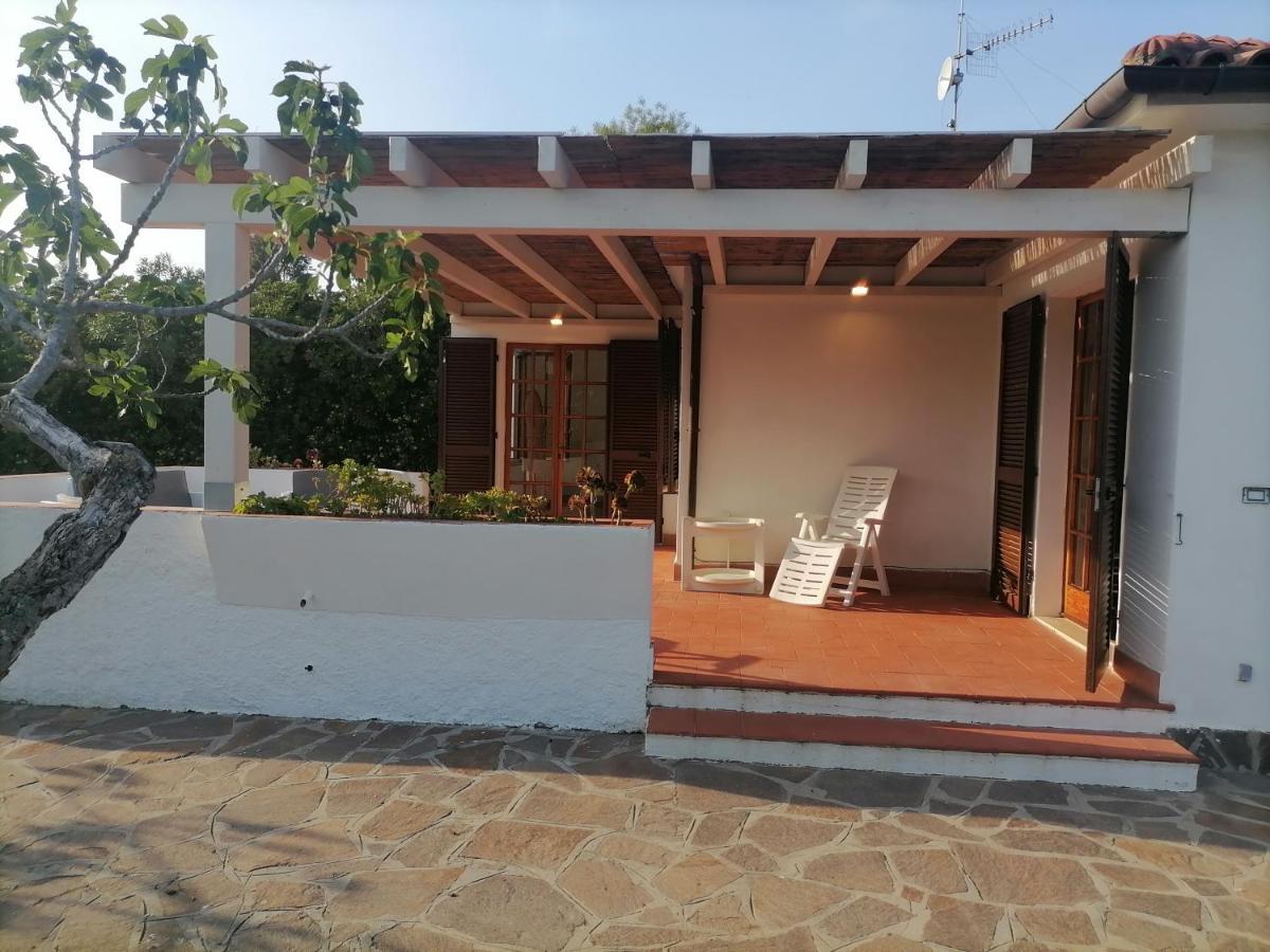 Ferienwohnung Le Palme Capoliveri  Exterior foto
