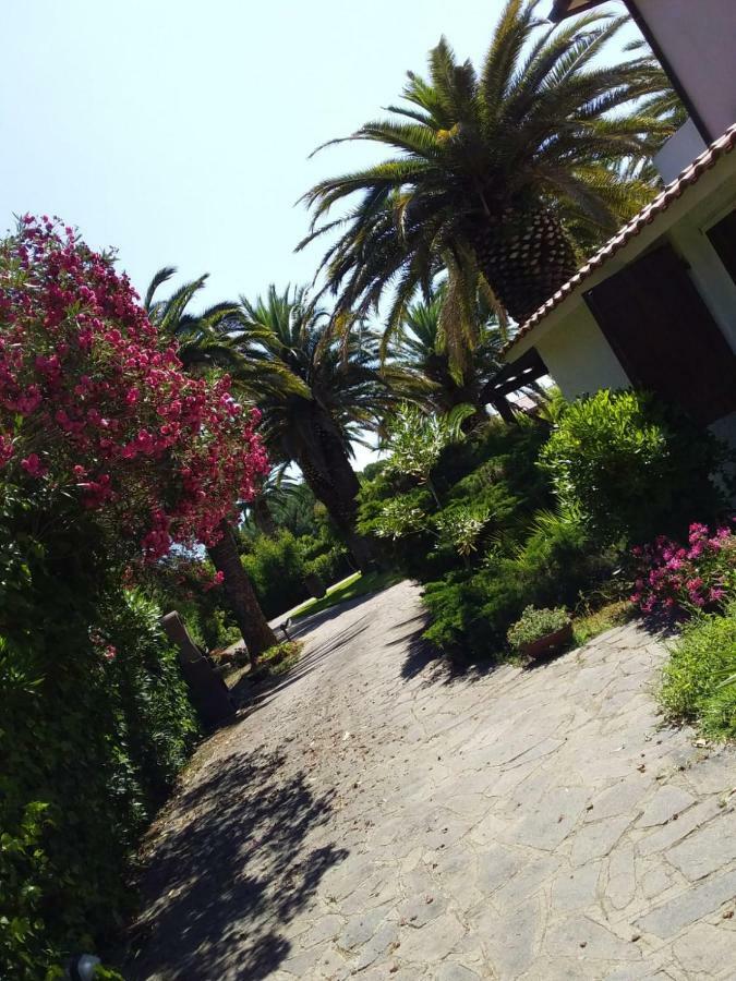 Ferienwohnung Le Palme Capoliveri  Exterior foto